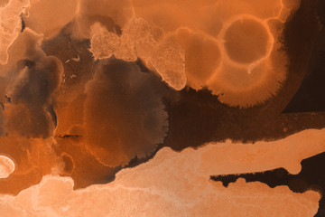 Obraz premium Hand painted alcohol ink background. Abstract delicate orange texture. Contemporary autumn wallpaper. 