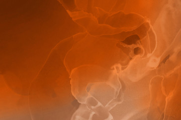 Hand painted alcohol ink background. Abstract delicate orange texture. Contemporary autumn wallpaper. 