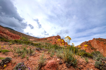 Multicolor mountains in the gorge Fairy Tale against a cloudy sky with flowers in the foreground. Tourism Kyrgyzstan