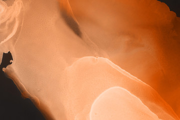 Hand painted alcohol ink background. Abstract delicate orange texture. Contemporary autumn wallpaper. 