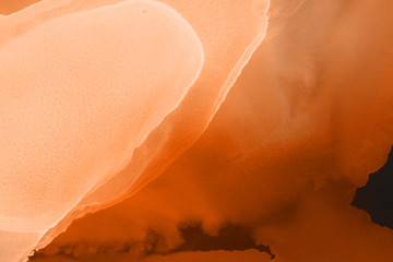 Hand painted alcohol ink background. Abstract delicate orange texture. Contemporary autumn wallpaper. 