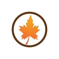 autumn leaf icon vector