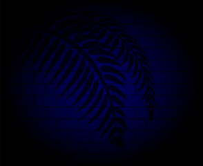 Shadow of a palm tree. Vector illustration for banner