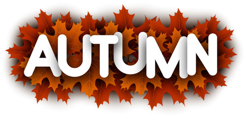 Autumn paper letters sign with orange maple leaves.