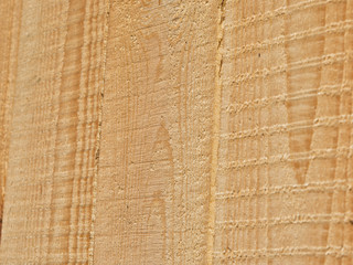 Texture of wood