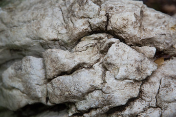 Felsen / Hintergrund