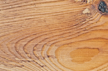 Texture of wood