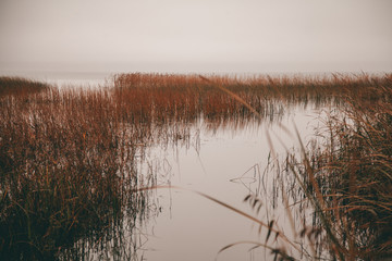 Autumn water with nobody. beautiful fall nature.