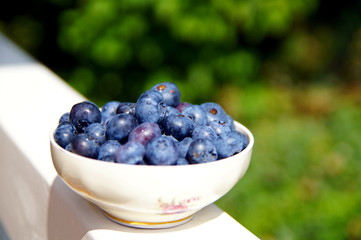 Freshly picked blueberries in a vintage ceramic bowl on a white wooden beam. gluten free blueberries on a white wooden balustrade. green garden background, food themes 