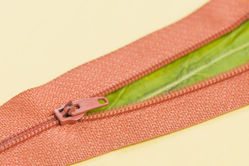 Orange zip with a leaf inside © Freepik