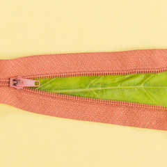 Orange zip with a leaf inside © Freepik