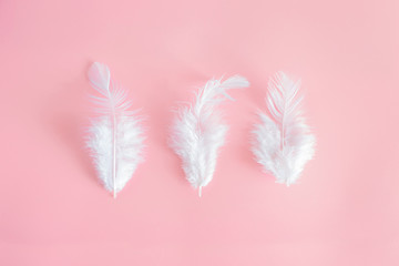 White fluffy feathers lying on a delicate pink background. Small fluffy white feathers are located in the center.