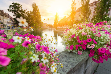 Decoration of the city flowers on the bridge overlooking the river L'ill in Strasbourg