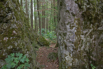Naklejka premium Felsen / Weg