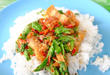 Close-up Rice topped with Crispy sliced pork and basil leaf. Traditional Thai street food.