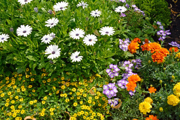 friedhof, blumenschmuck auf einem grab