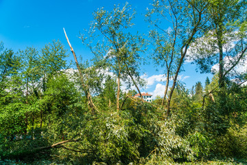 Fototapety na wymiar - Fototapeta24.pl