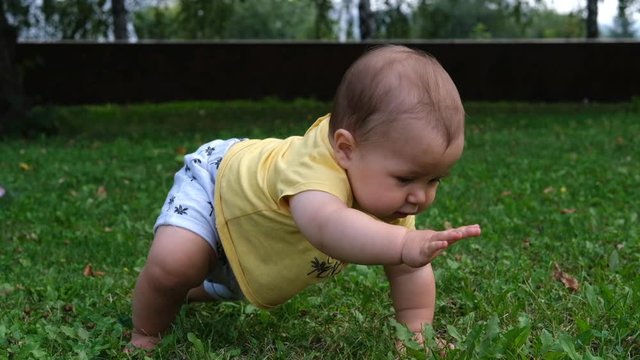 Cute baby boy sitting on the green grass and crawling in the park at summer day