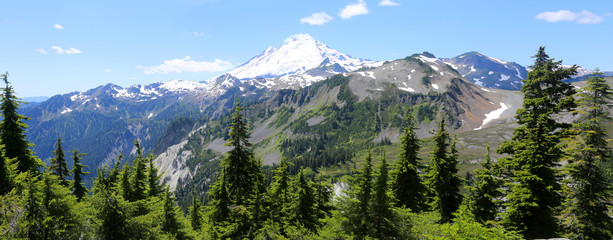 Mt. Baker at Artist Point - Panorama