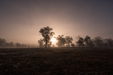 As the sun rises the fog and silhouettes of trees appear. A beautiful gradient of the sky can be seen in the background behind the trees. On a clear and sunny day in Storm King, Queensland, Australia