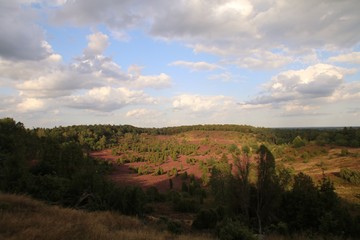 Totengrund Tal w&auml;hrend der Heidebl&uuml;te