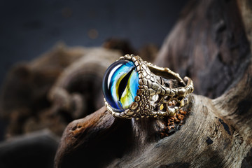 Creative ring with dragon eye on nature background