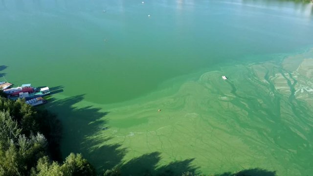 Standing calm water of the lake bloomed in summer. Algae bloom from the heat in the water. The water turned bright green, lime color from the algae in the lake. Green algae on the surface of the water