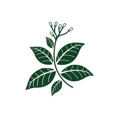 Simple and clean tobacco plant graphics in dark green color