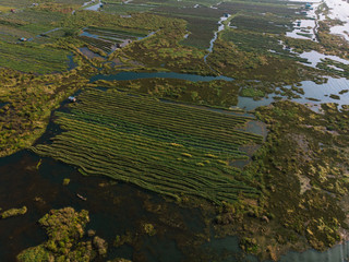 Aerial photo of floating gardens on Inle Lake, Myanmar (Burma). Travel destination Myanmar