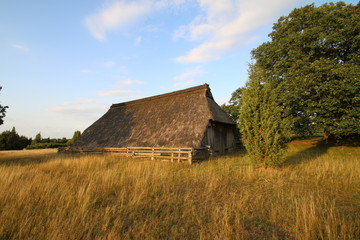 Obraz premium Alter Schafstall in der Lüneburger Heide im Abendlicht