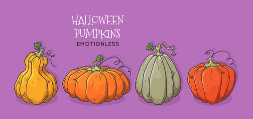 Vector hand drawn illustrations. Realistic symbol of Halloween - pumpkin.