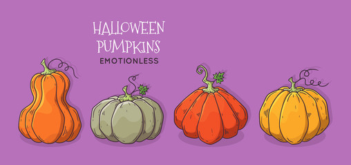 Vector hand drawn illustrations. Realistic symbol of Halloween - pumpkin.