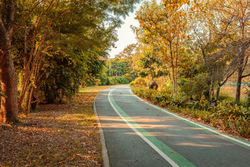 bicycle and walk path in parks