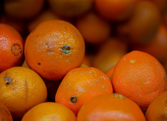 oranges at the market