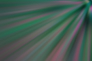 abstract light background garden flowers blur background, good morning concept