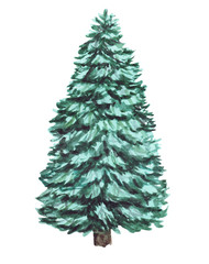 Watercolor green Christmas tree on white background. Isolated hand drawn elements for prints, cards