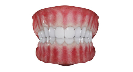 3d rendering of human teeth,  mouth isolated on white background