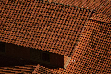  texture and repetition: the beauty of the abstract