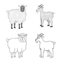 Vector illustration of breeding and kitchen sign. Set of breeding and organic stock vector illustration.