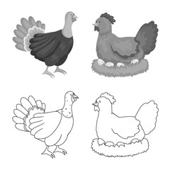 Vector design of breeding and kitchen symbol. Collection of breeding and organic vector icon for stock.