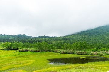 自然　登山　旅行 白馬大池
