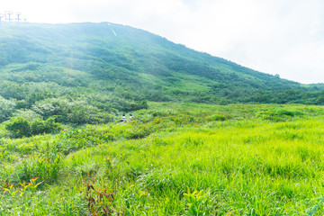 Fototapeta premium 自然 登山 旅行 白馬大池