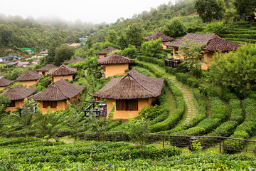 Fototapeta na wymiar Mountain view and beautiful landscape,earthen house,tea plantation,good weather,morning mist in Ban Rak Thai village in outdoor green nature,travel in Mae Hong Son,Thailand.