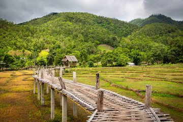 Fototapeta na wymiar Mountain view and beautiful landscape bamboo bridge,Boon Bridge or Kho Koo So over rice fields in outdoor green nature in the valley,travel in Pai,Chiang Mai,Thailand