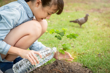 Asian child girl planting a tree in green nature,two hands holding and caring,seedlings or tree growing into soil,then watering the tree in park,love,world environment day,environment,ecology concept