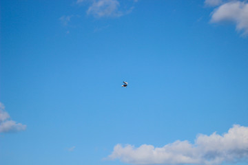 Naklejka na ściany i meble The hang-glider flying in the blue clear sky