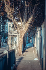 Obraz premium Sidewalk