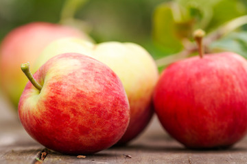 home grown Red organic fresh apple fruits on rustic wooden table in the summer garden. close up Organic raw vegan healthy food. Summer color. Bio food. Nature design.