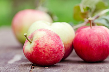Red organic fresh apple fruits on rustic wooden table in the summer garden. close up Organic raw vegan healthy food. Summer color. Bio food. Banner background. Nature design.
