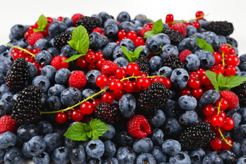 Blackberry, raspberry, blueberry,  red currant and mint background.